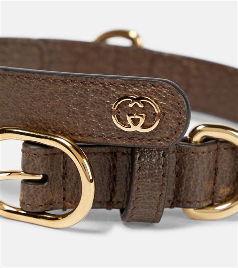 designer dog collars gucci.